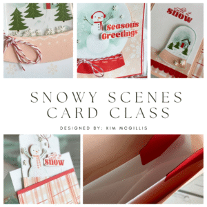 Snowy Scenes Card Class