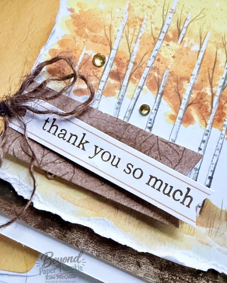 Aspens Of Gratitude Paper Pumpkin Tutorial